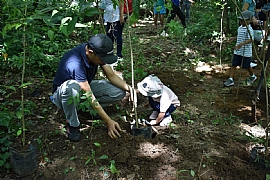 Marlow Philippines team doing their part for the protection of forests